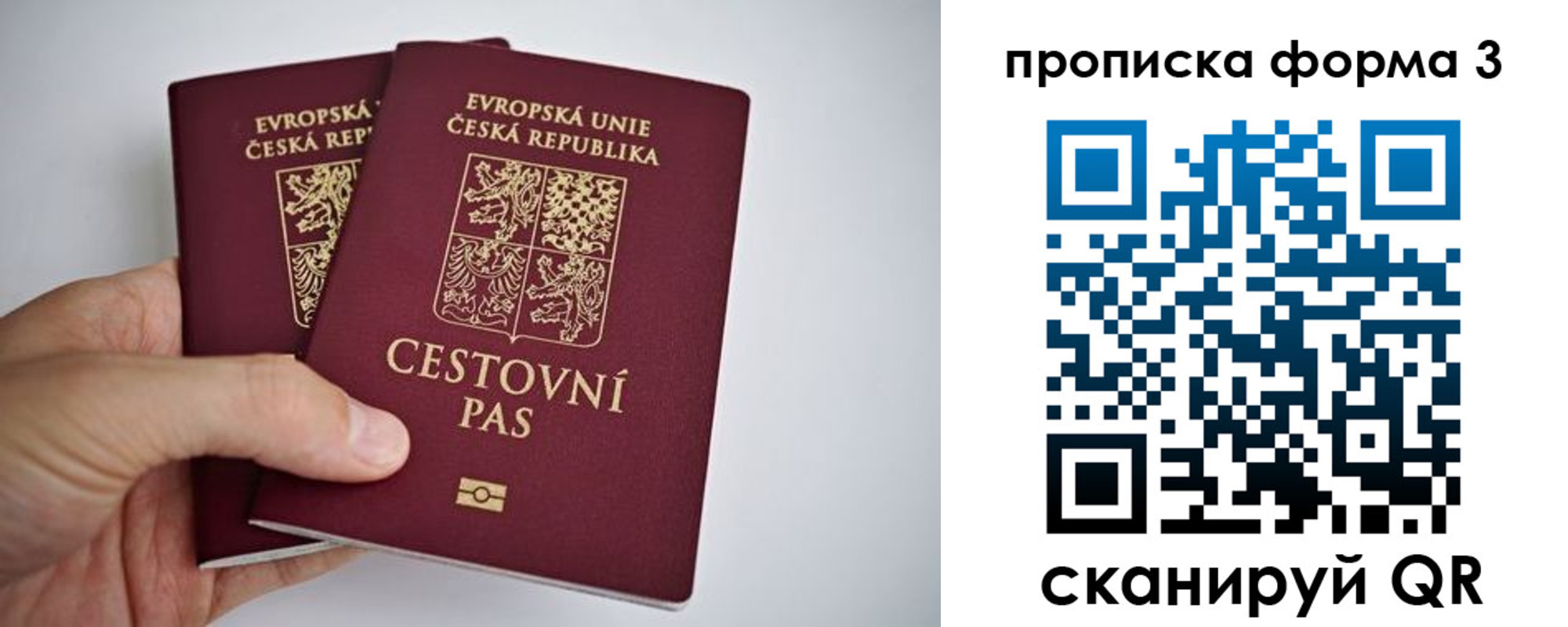 регистрация для школы в Киреевске